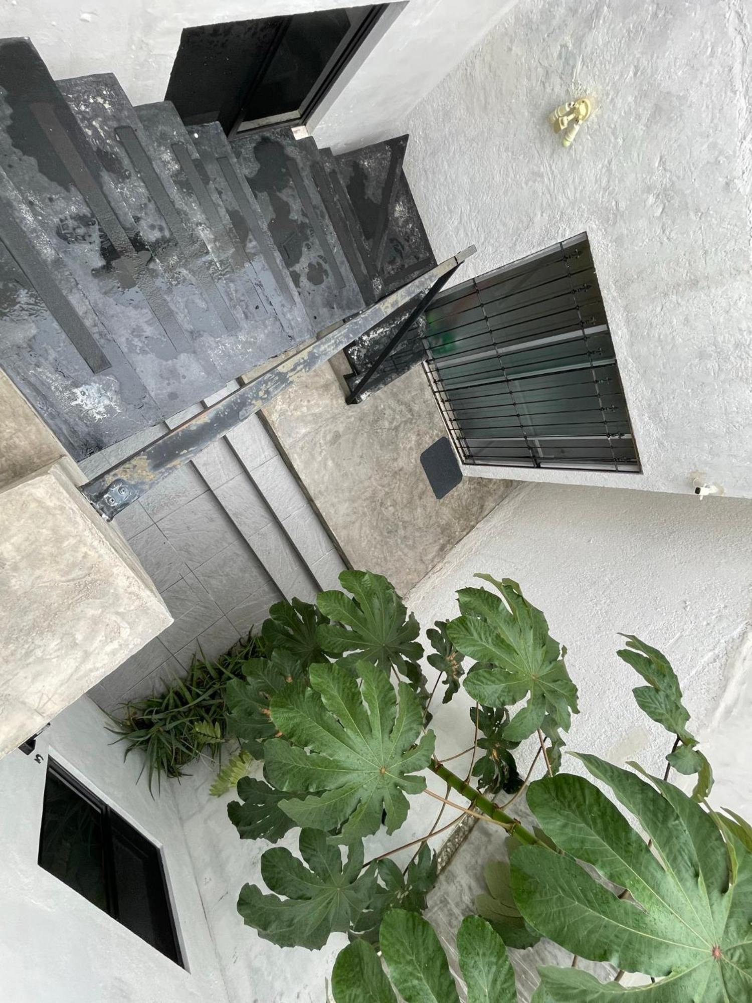 Casa Y Departamentos Lavanda Merida Luaran gambar